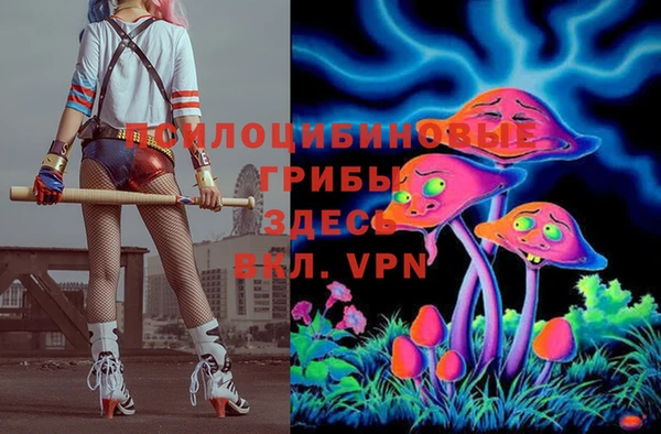 гашик Пересвет