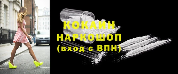 гашик Пересвет