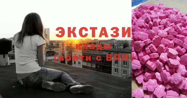 гашик Пересвет