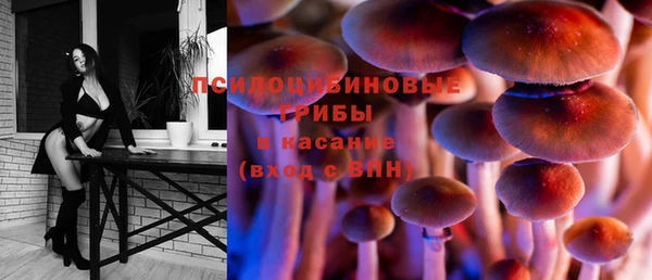 гашик Пересвет