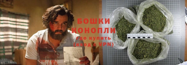 гашик Пересвет